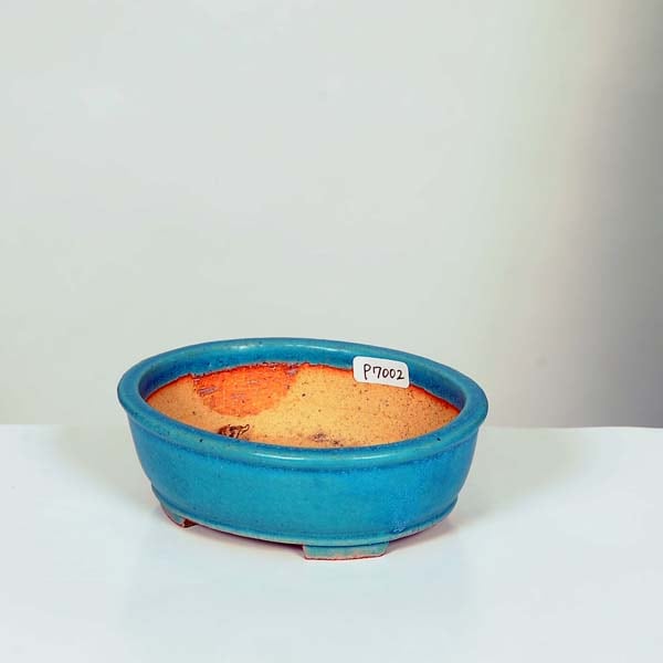 現代小鉢：柴勝 楕円鉢 11.0cm【現】 | すべての商品 | 遊恵盆栽 本店