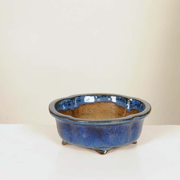現代小鉢：柴勝 モッコ鉢 11.0cm【現】 | すべての商品 | 遊恵盆栽 本店