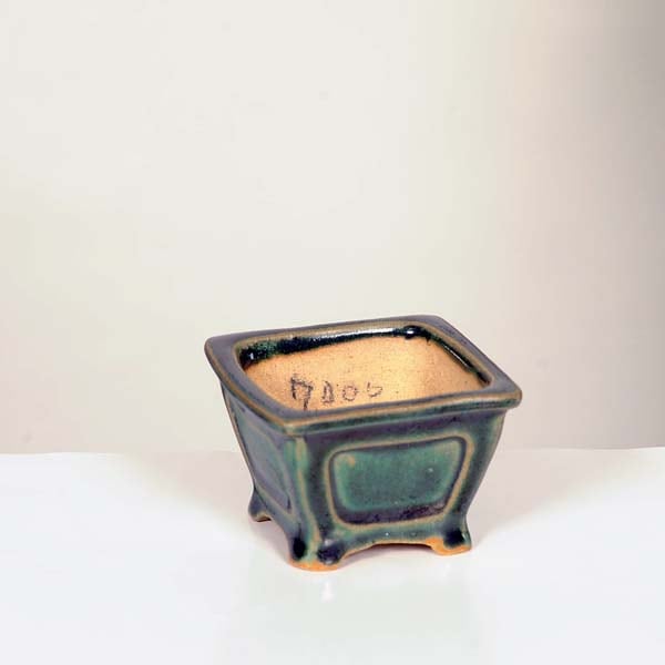 現代小鉢：柴勝 正方鉢 6.4cm【現】 | すべての商品 | 遊恵盆栽 本店