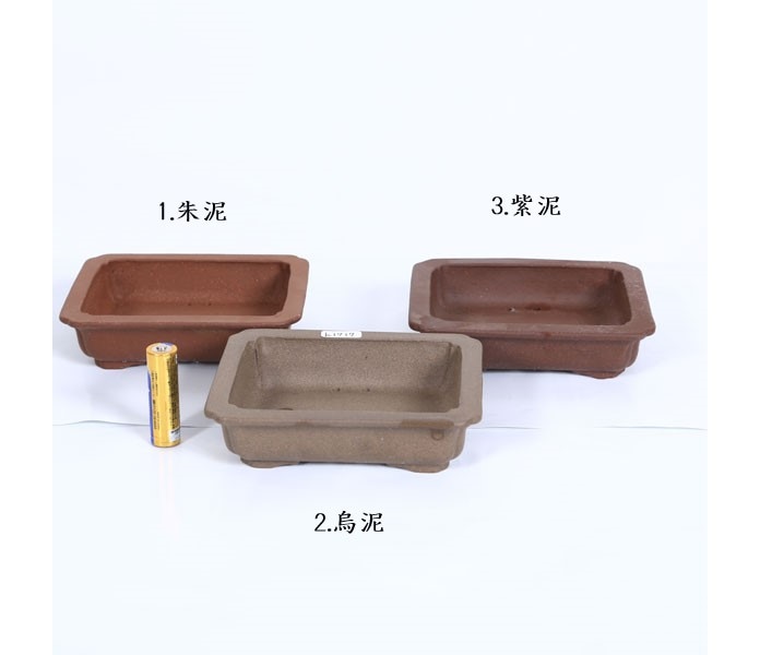 ȭ�����ȭ��Ĺ������ȭ��12.5cm*���