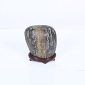 ���С��������Сڸ��ʡ�*��ࡡ��������