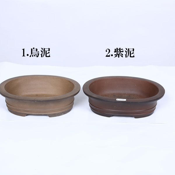 鉢：中国小鉢 縁付楕円鉢 18.1cm*資材 | 盆栽鉢・水盤,お買い得小鉢,土