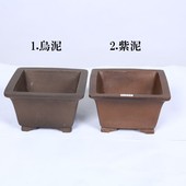 ȭ�����ȭ����������ȭ��13.4cm*���