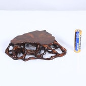 ������������12.8cm�ڸ��ʡ�*���