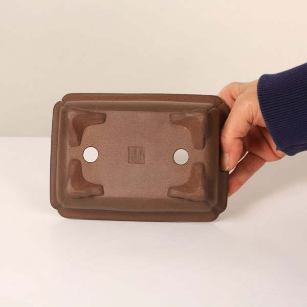 現代小鉢：壱興 長方鉢 16.2cm【現】 | すべての商品 | 遊恵盆栽 本店