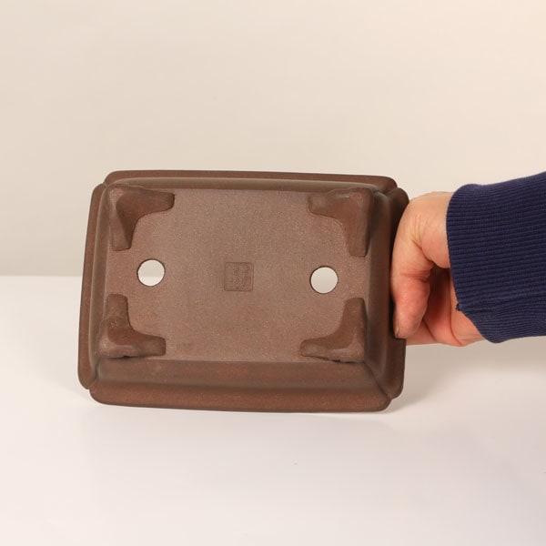 現代小鉢：壱興 長方鉢 17.0cm【現】 | すべての商品 | 遊恵盆栽 本店