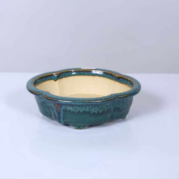 現代小鉢：風香 縁付モッコ鉢 15.0cm【現】 | すべての商品