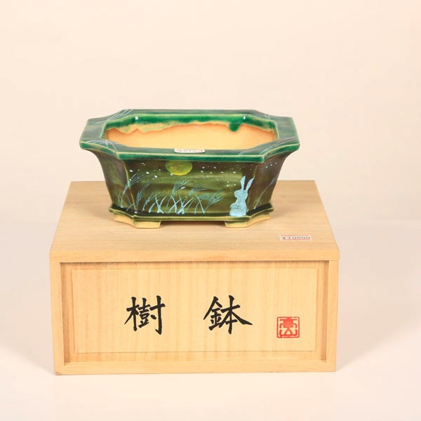 盆栽小鉢：桂雲 長方隅切鉢 14.9cm 【現】*資材 | すべての商品 | 遊恵
