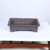 �ò�������ʪ­��Ĺ��ȭ��11��