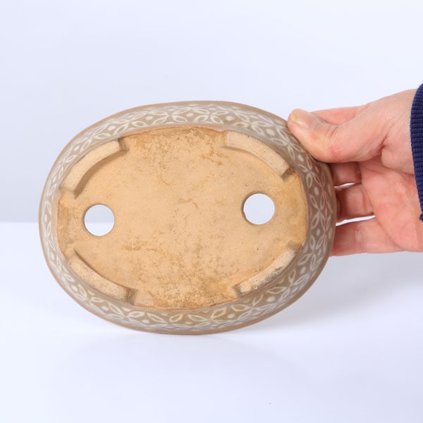 現代小鉢：喜美子 楕円鉢 15.7cm【現】 | すべての商品 | 遊恵盆栽 本店