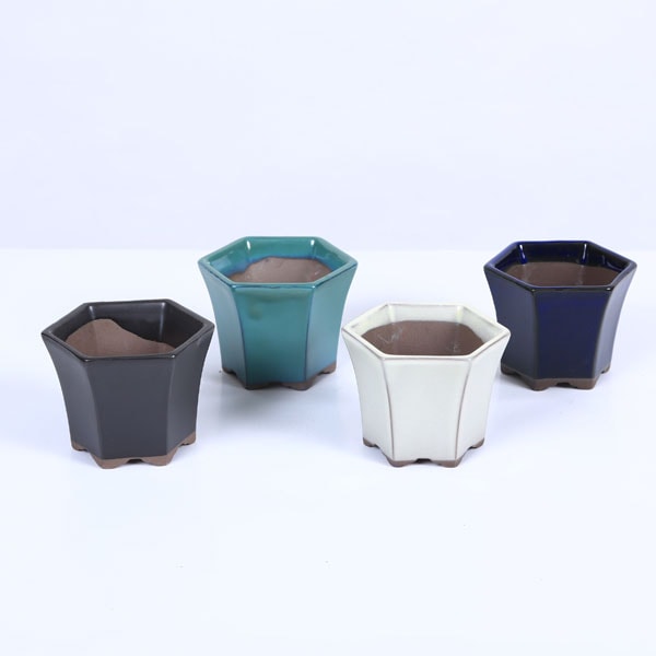 �ߺ�ȭ��ϻ�ѥ��󥬥�ȭ��2.5��*���