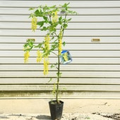 ���ڡ����󥰥���ʲ���ƣ�����Хʥե���������ǥ������������*�������ȯ��