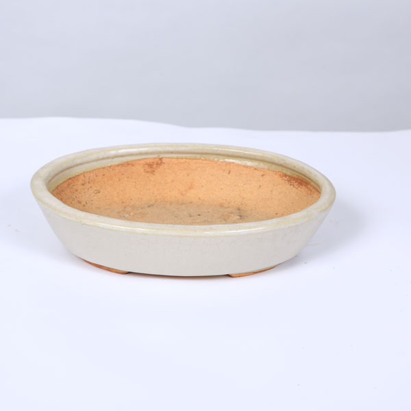 鉢：服部 楕円鉢 19.7cm【現品】 *資材 | 盆栽鉢・水盤,現代小鉢