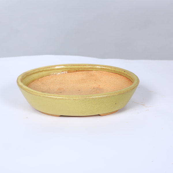 1*0様 盆栽鉢 服部 4つ 鉢：服部 楕円鉢 19.7cm 【現品】 * 資材 | 盆栽鉢・水盤,現代小鉢