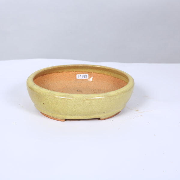 鉢：服部 楕円鉢 16.7cm 【現品】 * 資材 | 盆栽鉢・水盤,現代小鉢