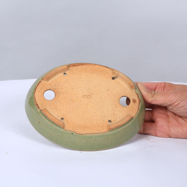 鉢：服部 楕円鉢 16.4cm 【現品】 * 資材 | 盆栽鉢・水盤,現代小鉢