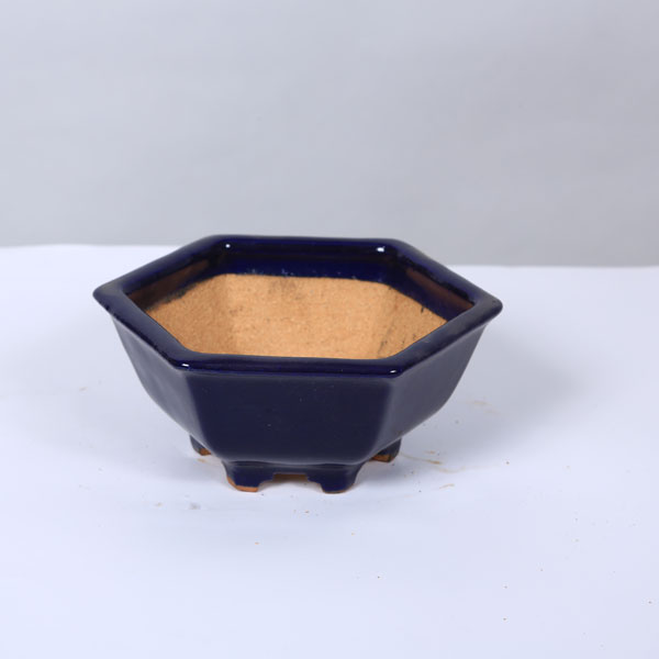 鉢：服部 六角鉢 15.3cm【現品】*資材 | 盆栽鉢・水盤,現代小鉢,服部