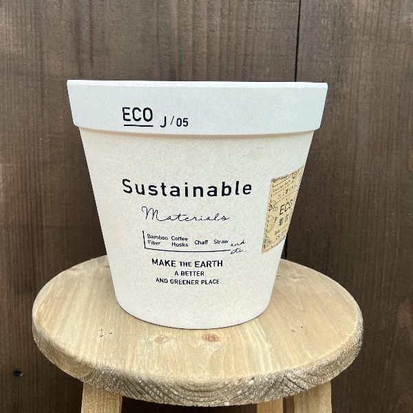 おしゃれ 観葉植物 鉢カバー選べる：フィカス ベンジャミン 斑入り