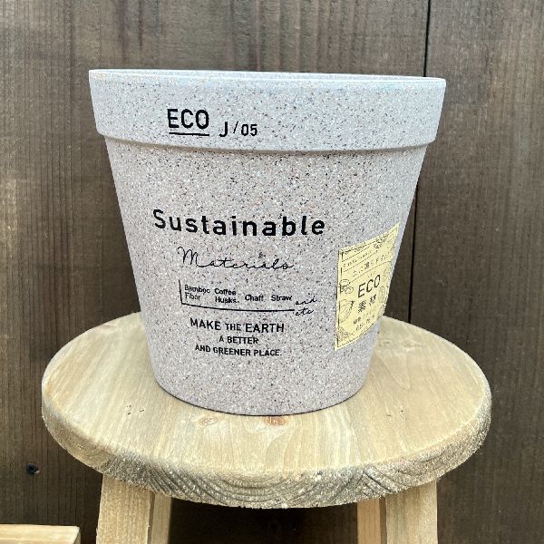 斑入り フィカス ベンジャミン 編み込み 天然苔仕立て 8号 陶器