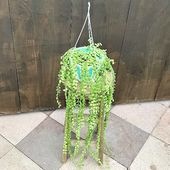 ������� ���տ�ʪ���ǥ������ǥ��� �̥���ꥢ *�ߤ�ȭ 5��