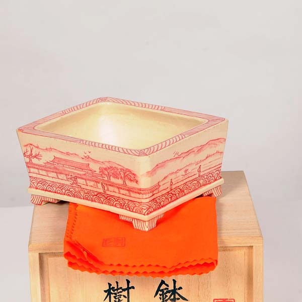 盆栽小鉢：桂雲 長方赤絵鉢 12cm 【現】*資材 | 盆栽鉢・水盤,現代小鉢