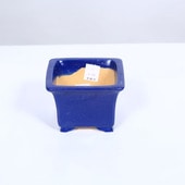 ���微ȭ���ƾ�����������ȭ��9.8����ڸ���