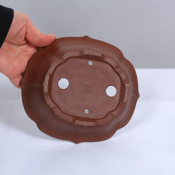 現代小鉢：柴勝 モッコ鉢 17.3cm【現】 | すべての商品 | 遊恵盆栽 本店