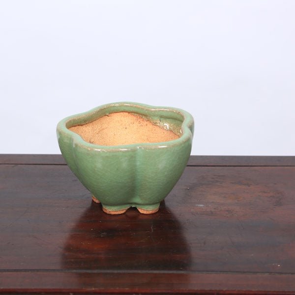 服部　盆栽鉢　赤茶 楽天市場】盆栽鉢 常滑 柴勝 小型 長辺 約12.5cm 長方鉢 外縁 段足 泥