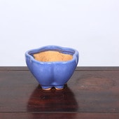 盆栽鉢・水盤,現代小鉢,服部(はっとり) | 遊恵盆栽 本店