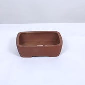 ���微ȭ���ƾ���Ĺ������ȭ��15.9����ڸ���