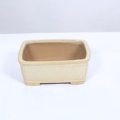 ���微ȭ���ƾ���Ĺ��ȭ��16.0����ڸ���