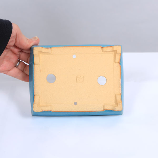 現代小鉢：柴勝 長方鉢 15.8cm【現】 | すべての商品 | 遊恵盆栽 本店