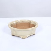 ���微ȭ���ƾ�����å�ȭ��16.0����ڸ���