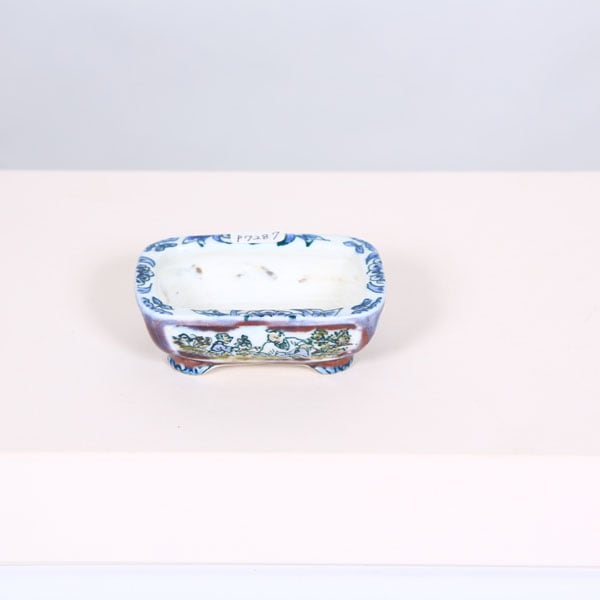 現代小鉢：陶翠 長方鉢 9.2cm【現】 | すべての商品 | 遊恵盆栽 本店