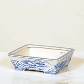 盆栽鉢・水盤,現代小鉢,月香 | 遊恵盆栽 本店