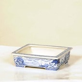 盆栽鉢・水盤,現代小鉢,月香 | 遊恵盆栽 本店