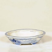 盆栽鉢・水盤,現代小鉢,月香 | 遊恵盆栽 本店