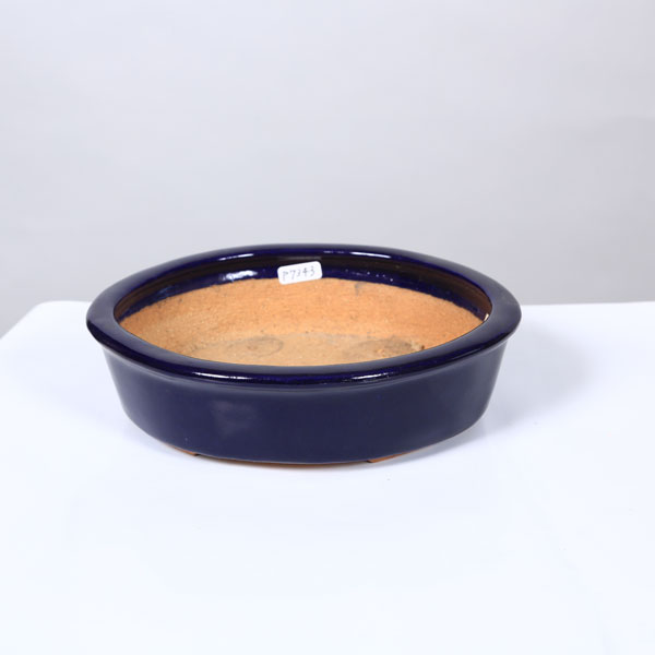 市川苔州　盆栽鉢　瑠璃楕円 市川苔州 盆栽鉢 瑠璃楕円 市川苔州盆栽鉢瑠璃楕円