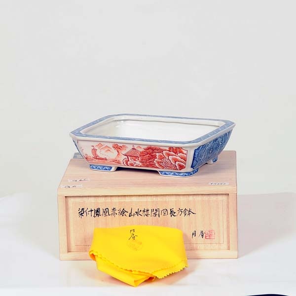 現代小鉢：月香 長方鉢 15.0cm【現】 | すべての商品 | 遊恵盆栽 本店