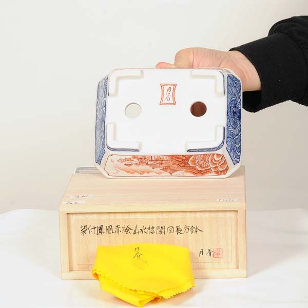 現代小鉢：月香 長方鉢 15.0cm【現】 | すべての商品 | 遊恵盆栽 本店