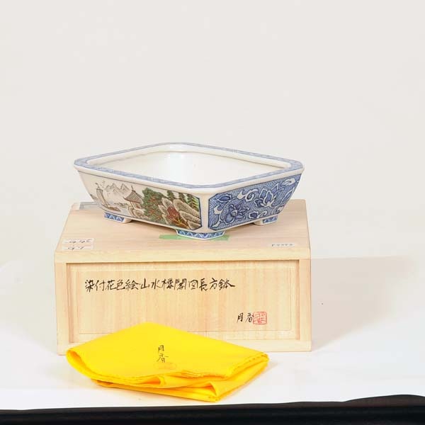 現代小鉢：月香 長方鉢 14.7cm【現】 | すべての商品 | 遊恵盆栽 本店