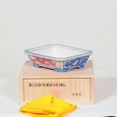 盆栽鉢・水盤,現代小鉢,月香 | 遊恵盆栽 本店