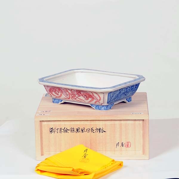 名*…様 染付長方盆栽小鉢　伊藤月香 現代小鉢：月香 長方鉢 16.0cm【現】 | すべての商品 | 遊恵盆栽 本店