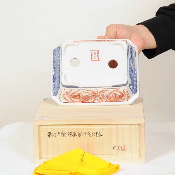 現代小鉢：月香 長方鉢 16.0cm【現】 | すべての商品 | 遊恵盆栽 本店