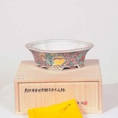 盆栽鉢・水盤,現代小鉢,月香 | 遊恵盆栽 本店