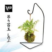 �ݶ��ߺ� �����Τ�*(�ߤꥹ������դ�)�ߤ��ݶ̥��Υֲ��åϥ󥭥��¥����ץ쥼��ȥ��եȤˤ�bonsai