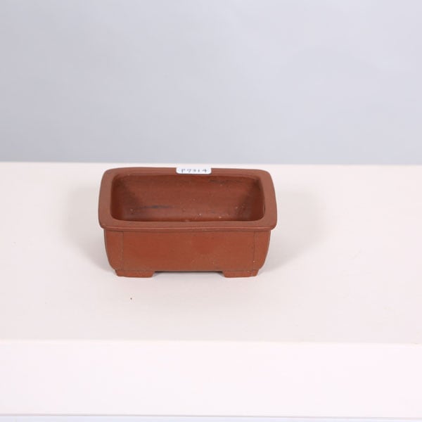 現代小鉢：柴勝 長方鉢 9.9cm【現】 | すべての商品 | 遊恵盆栽 本店