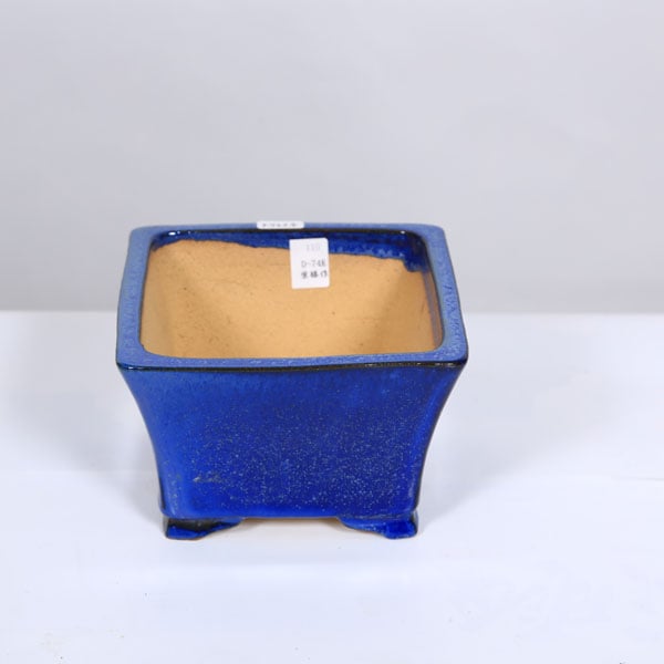 現代小鉢：柴勝 正方鉢 13.8cm【現】 | すべての商品 | 遊恵盆栽 本店