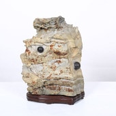 ���С��̶����Сڸ��ʡ�*��ࡡ���礯���礦����