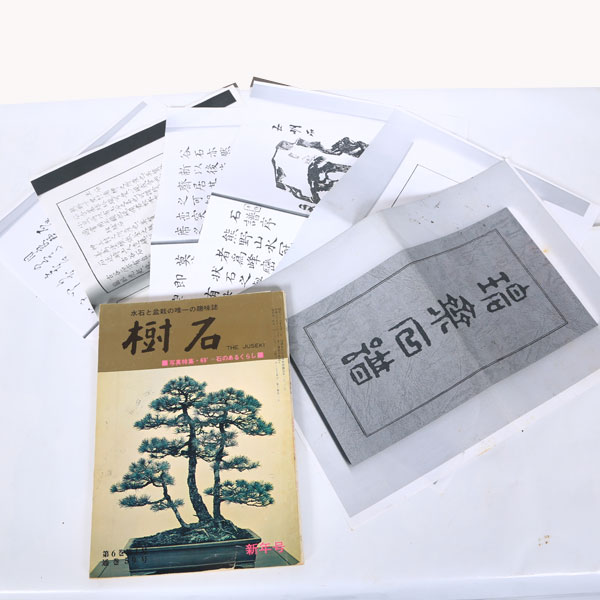 水石：玉鏡台石【現品】*資材 ぎょくきょうだい | 水石・飾り石,水石